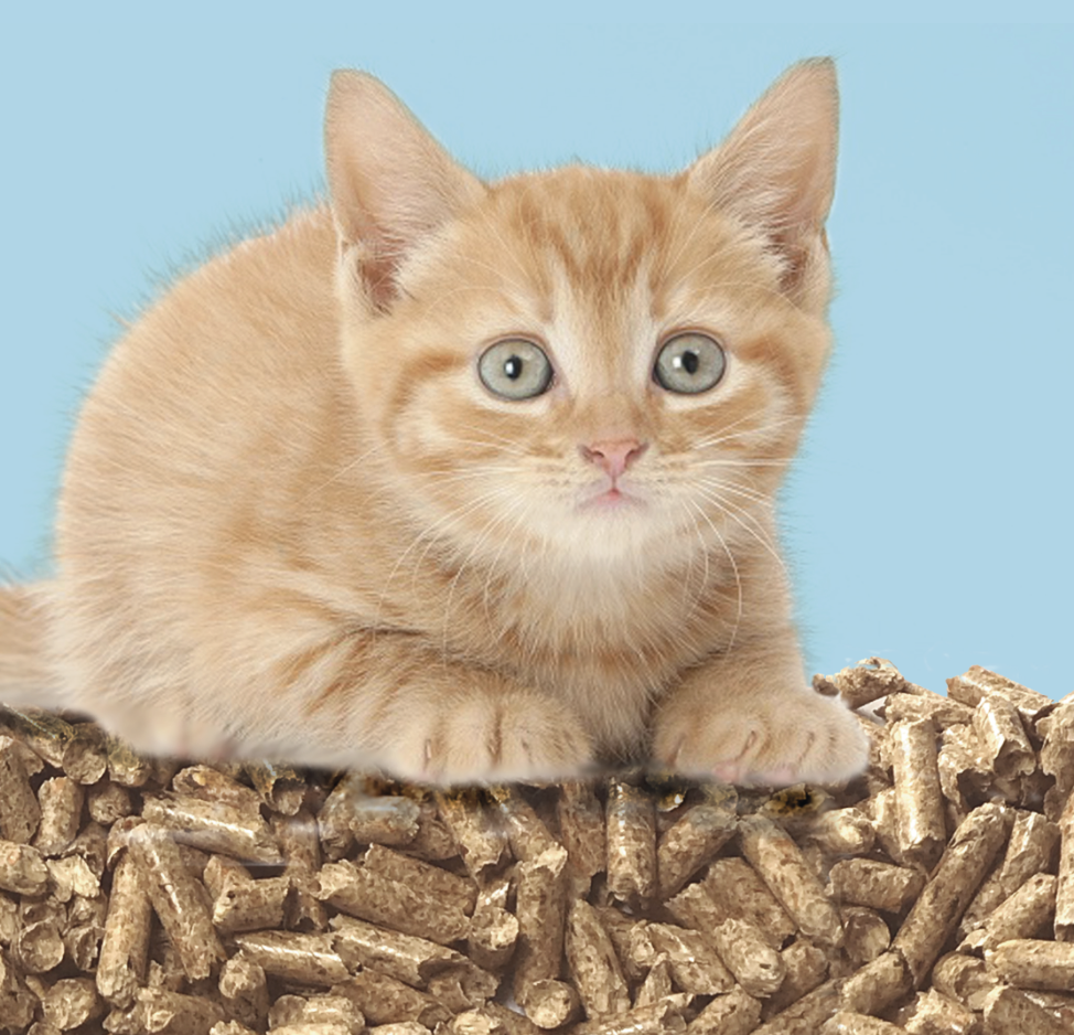 Kittilitt super premium wood pellet cat litter