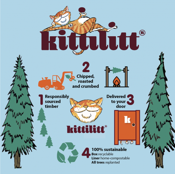 Kittilitt graphic