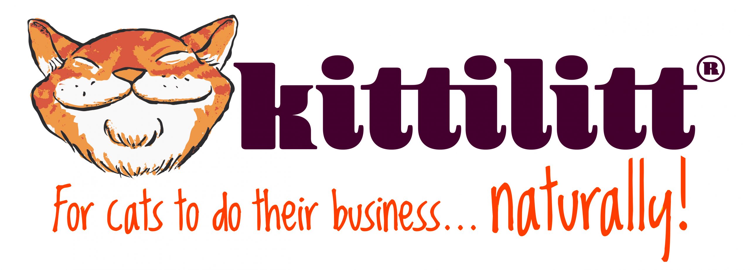 Kittilitt logo